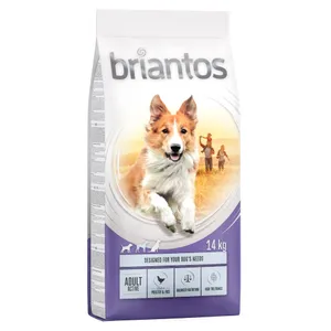 Briantos Adult Active - Ekonomipack: 2 x 14 kg