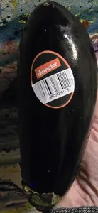 Aubergine