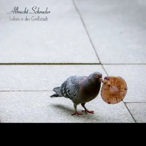 Albrecht Schrader: Leben in Der Grossstadt