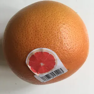 Grapefruit
