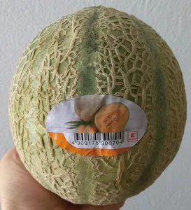Melone