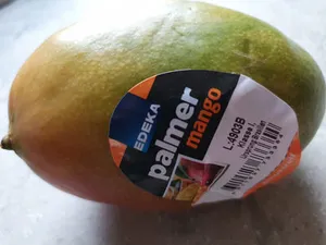 Palmer mango