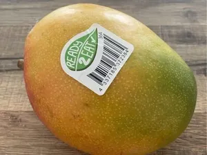 Mango gross (mangue)
