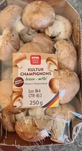 Kulturchampiognion braun