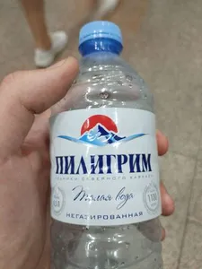 Талая вода (негазированная)