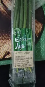 лук зелёный