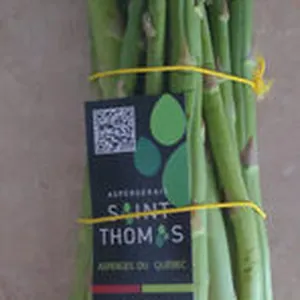 Asperges du Québec