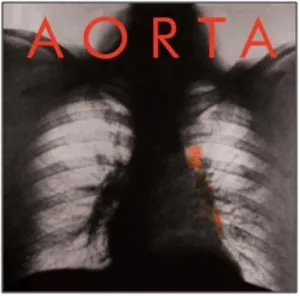 Aorta: Aorta 2010