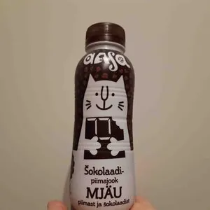 Šokolaadi-piimajook