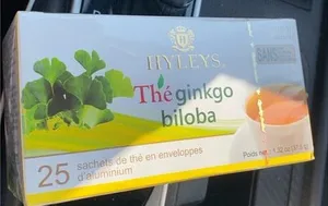 Ginkgo biloba tea