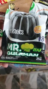 mr gulaman
