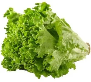 Lettuce