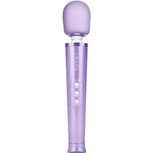 LeWand Le Wand - Petite Rechargeable Vibrating Massager Violet