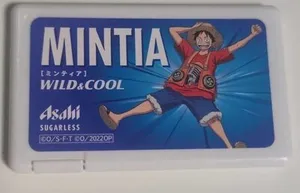 Mintia