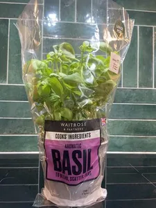 Basil