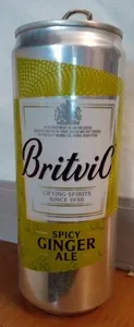Britvic Spicy ginger ale