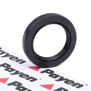 Packbox, vevaxel PAYEN NJ448