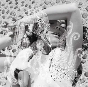 Björk: Vespertine