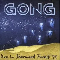 Gong: Live in Sherwood Forest '75