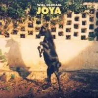 Oldham Will: Joya