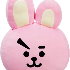 Bt21: Cooky Cushion 14.5in