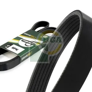 Multirem BGA 6PK2573