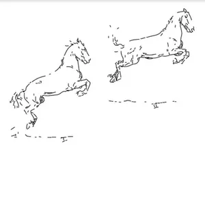 Hofmann Leo: Kapriole