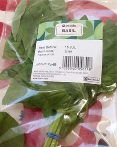 Basil