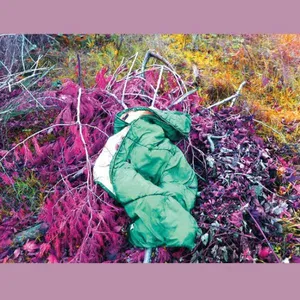 Dreamdecay: N V N V N V