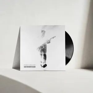 Sam Roberts Band: Frequencies