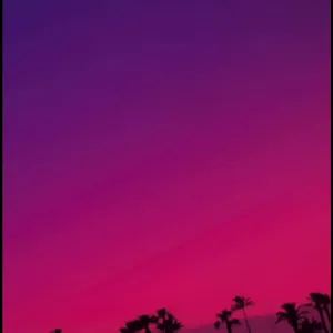 Sweet Williams: Sweet Williams