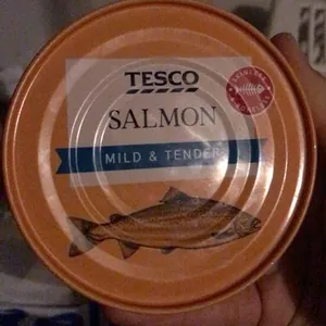 Salmon mild and tender