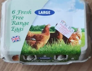 Free Range Eggs Large