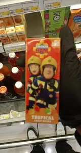 fireman sam