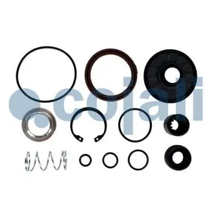 Rep.sats COJALI 6012365