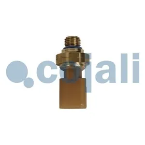 Sensor COJALI 2262049