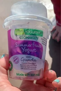 Summer fruits yoghurt