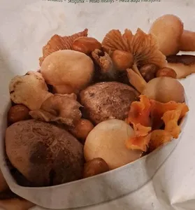 Mélange de champignons forestière