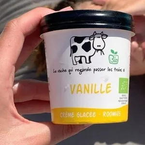 Crème glacée Vanille