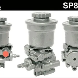 Servopump ERA Benelux SP81060