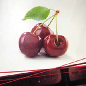 Chocolat Cerise NewTree