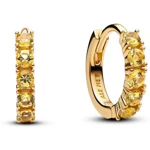 Pandora Timeless örhängen 263849C01