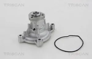 Vattenpump TRISCAN 8600 29050