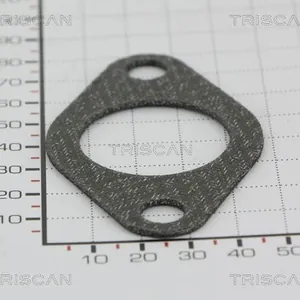 Packning / Tätning TRISCAN 8813 99115