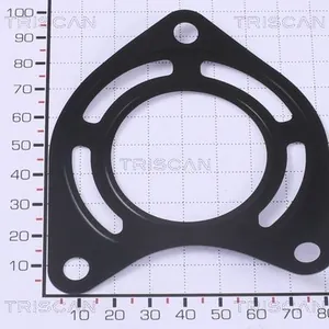 Packning / Tätning TRISCAN 8813 99141