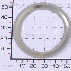 Packning / Tätning TRISCAN 8813 99153