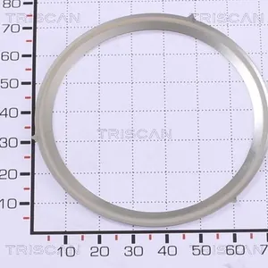 Packning / Tätning TRISCAN 8813 99168