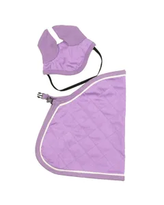 My Hobby Horse - Rug & bonnet purple