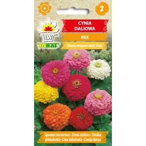 Toraf Dahlia zinnia mix frön 1g för trädgården