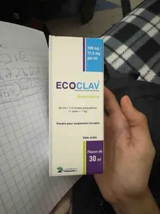 Ecoclav